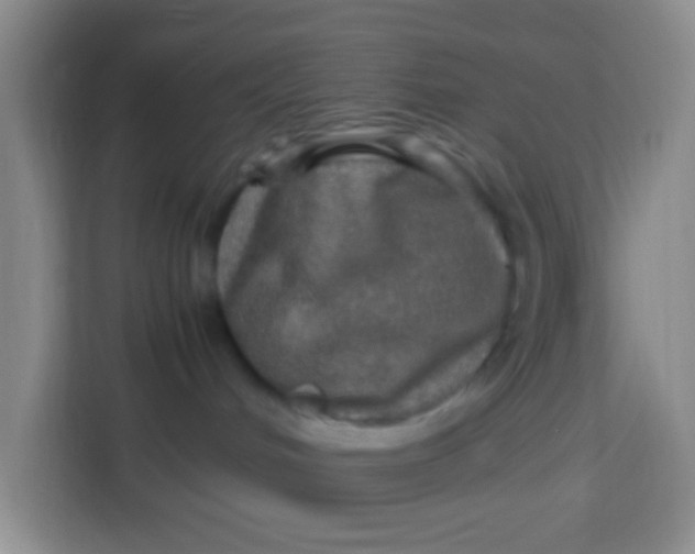 X0000113640048200910091545