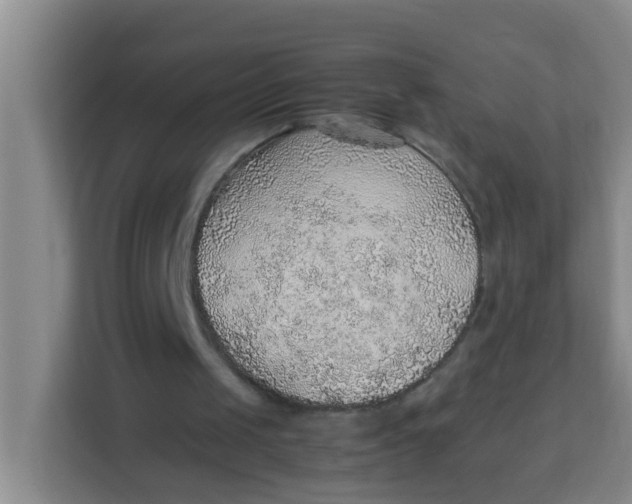 X0000113640049200910091545