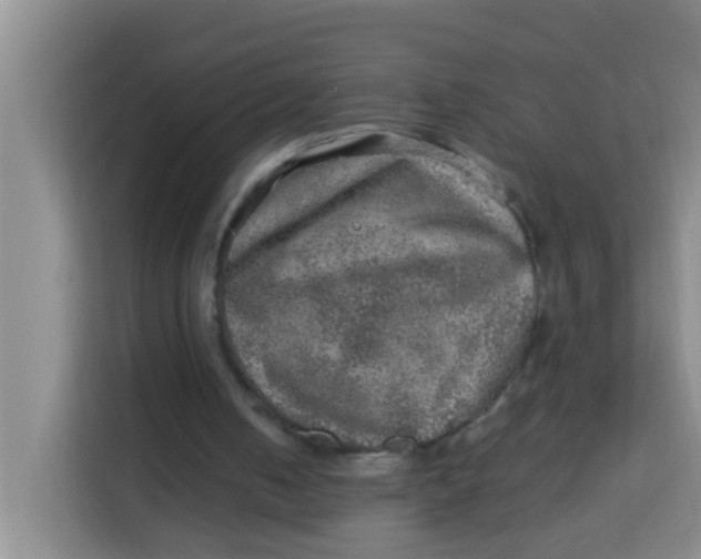 X0000113640050200910091545