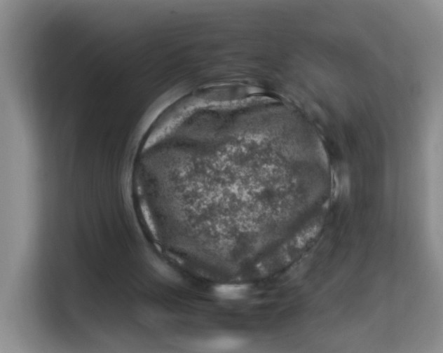 X0000113640051200910091545