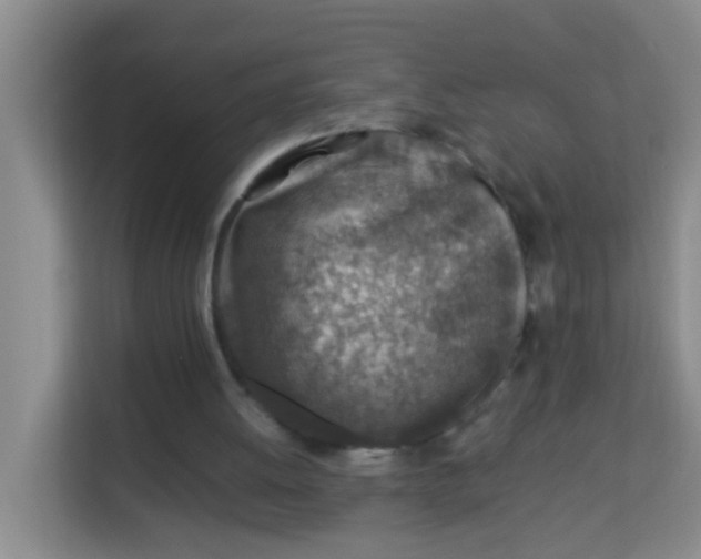 X0000113640052200910091545