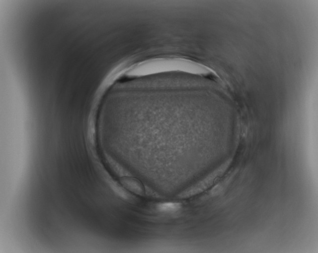 X0000113640053200910091545