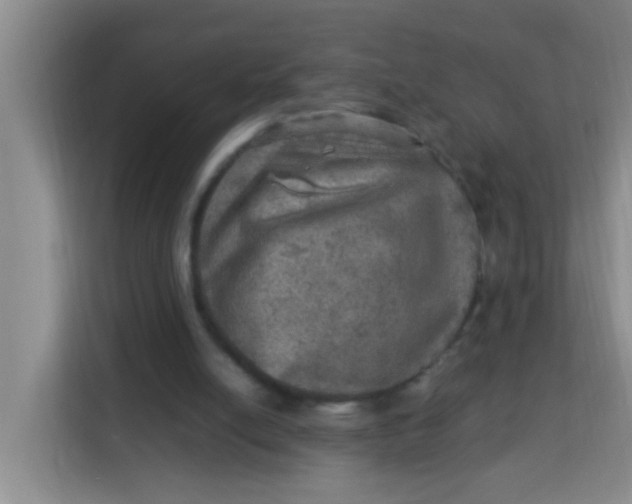 X0000113640054200910091545