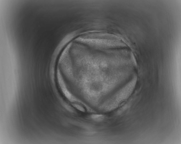 X0000113640055200910091545