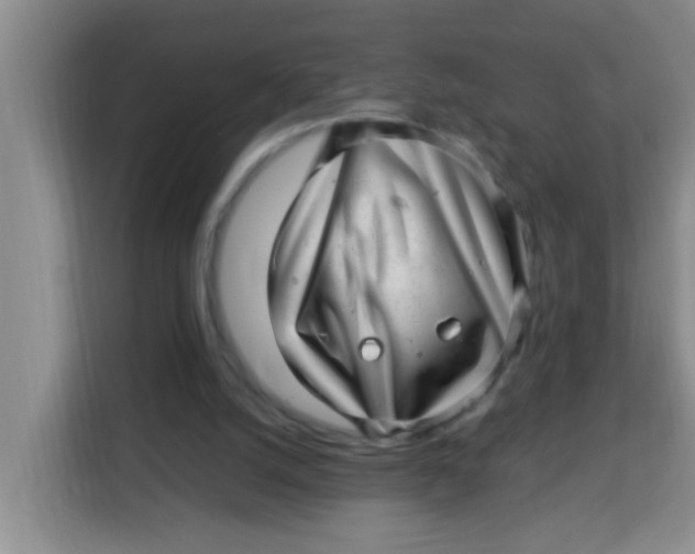 X0000113640056200910091545