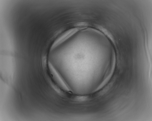 X0000113640057200910091545