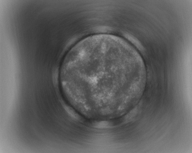 X0000113640058200910091545