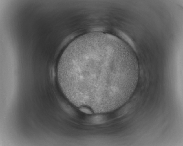 X0000113640059200910091545