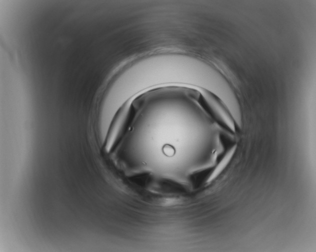 X0000113640060200910091545