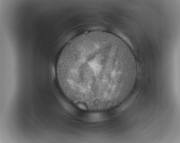 X0000113640061200910091545