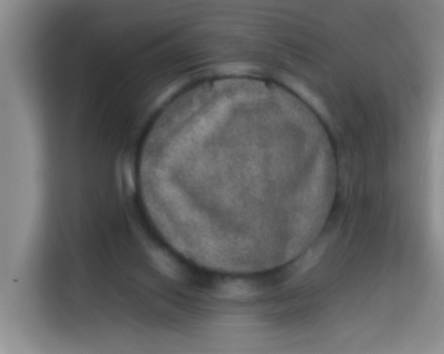 X0000113640062200910091545