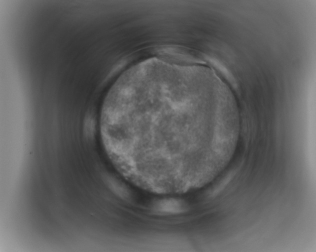 X0000113640063200910091545