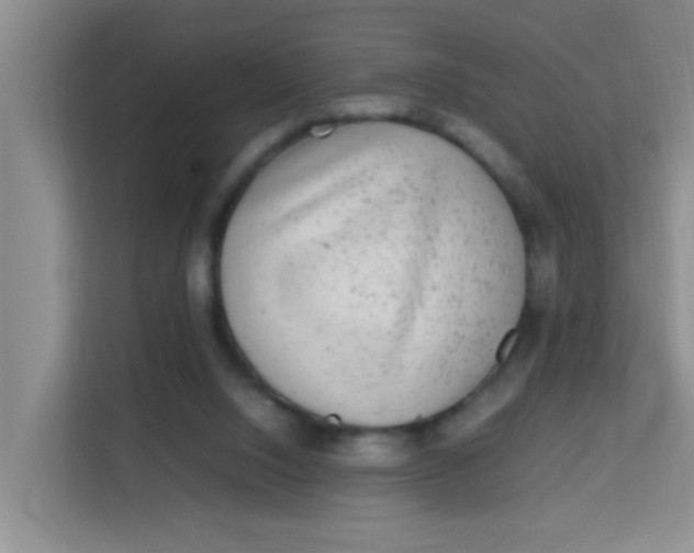 X0000113640064200910091545