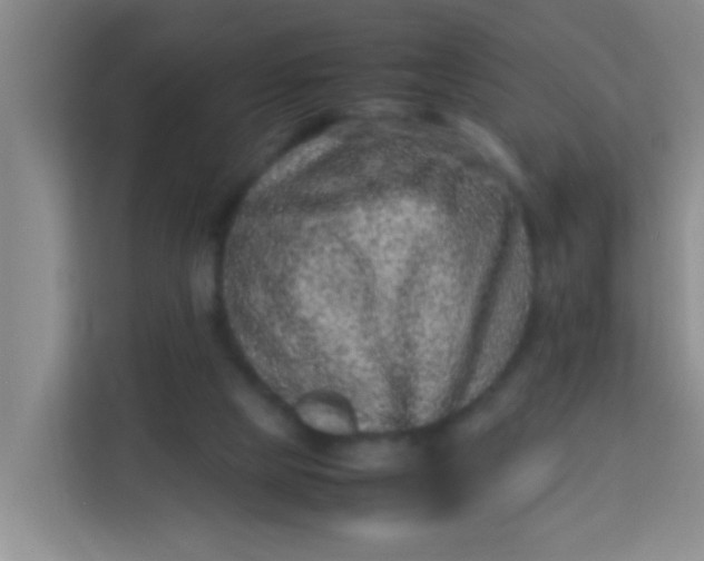 X0000113640065200910091545