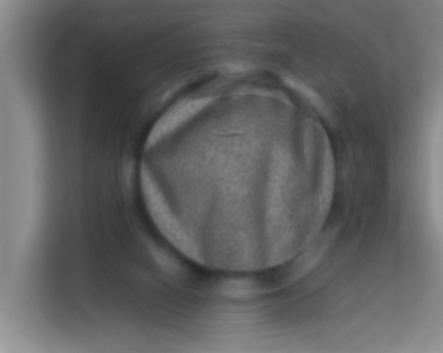 X0000113640066200910091545