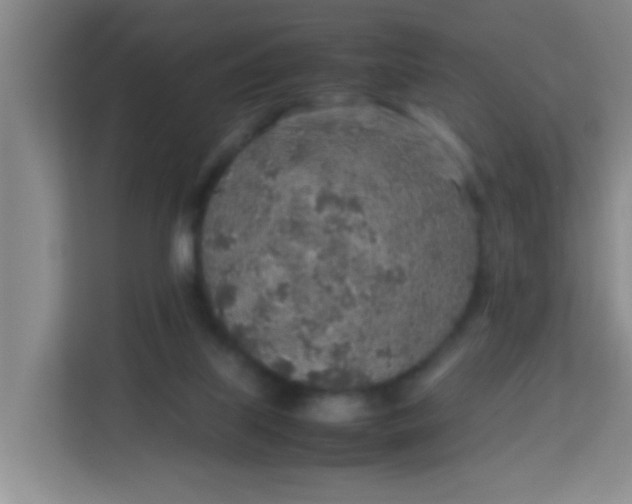 X0000113640067200910091545