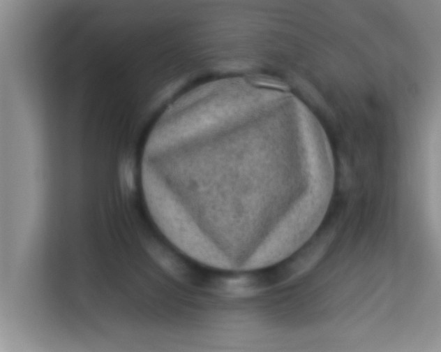 X0000113640068200910091545