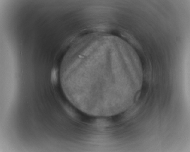 X0000113640070200910091545