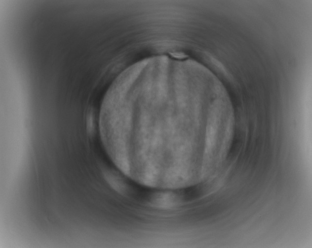 X0000113640074200910091545