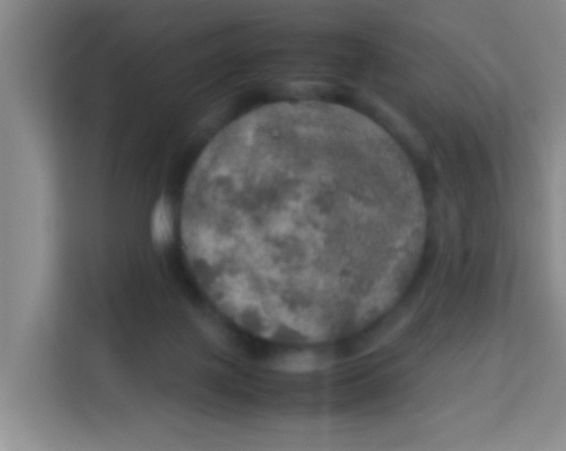 X0000113640075200910091545