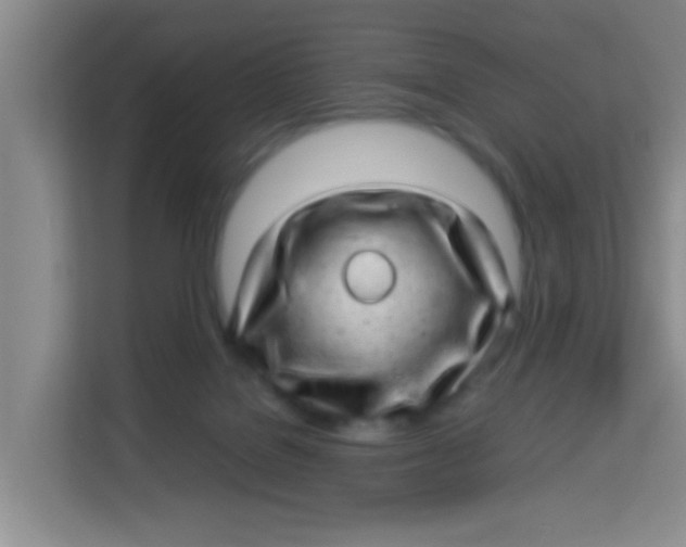 X0000113640076200910091545