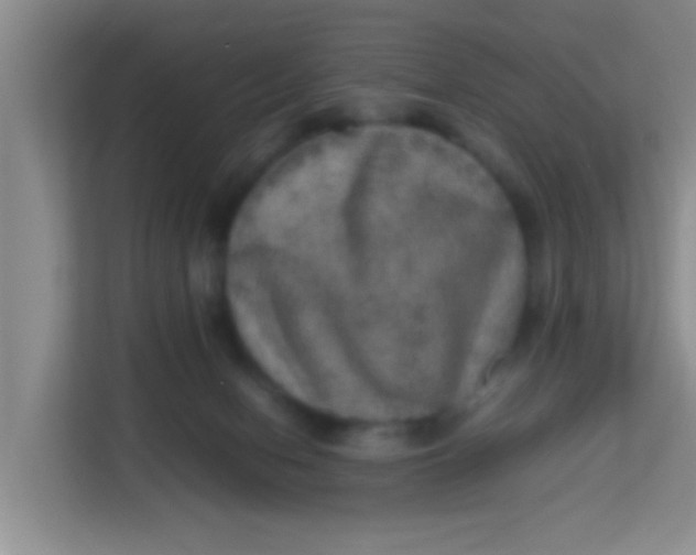 X0000113640078200910091545