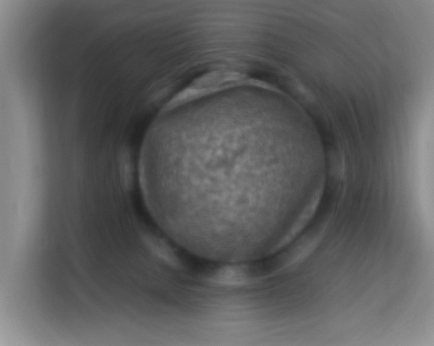 X0000113640080200910091545