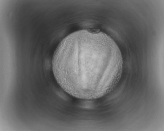 X0000113640081200910091545