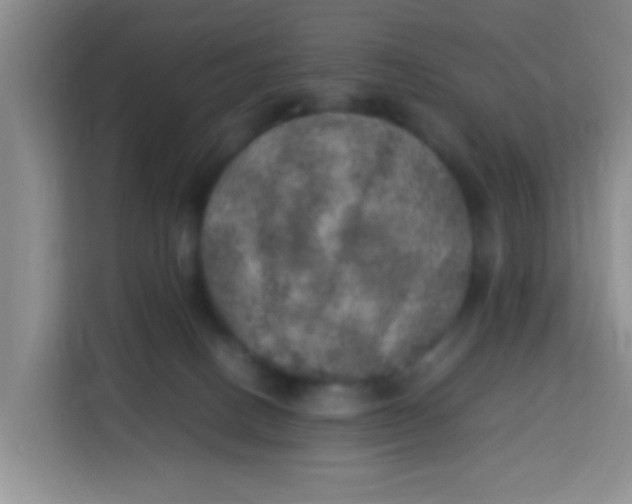 X0000113640082200910091545