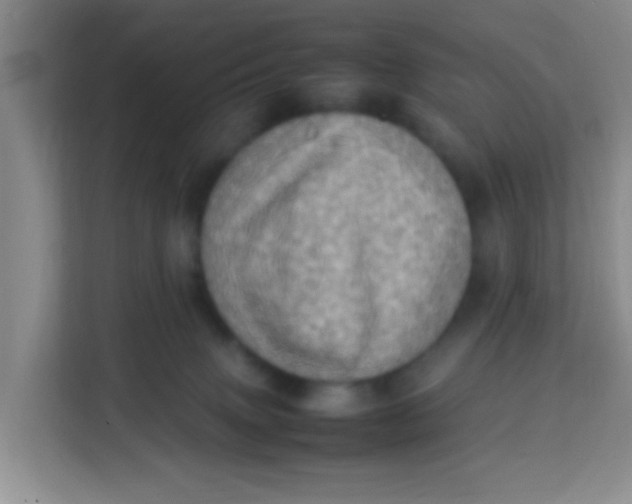 X0000113640083200910091545