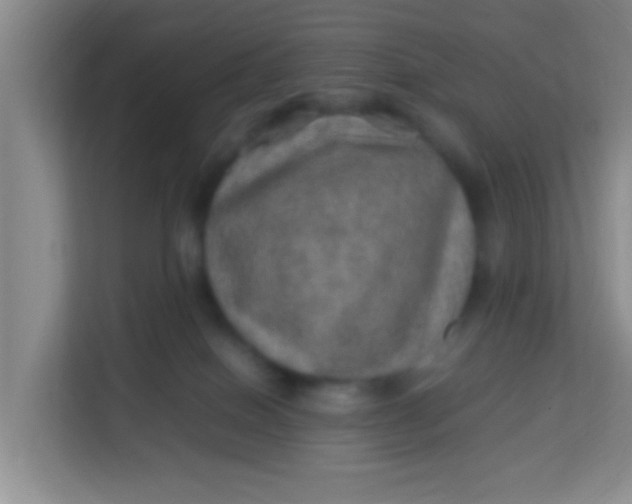 X0000113640086200910091545