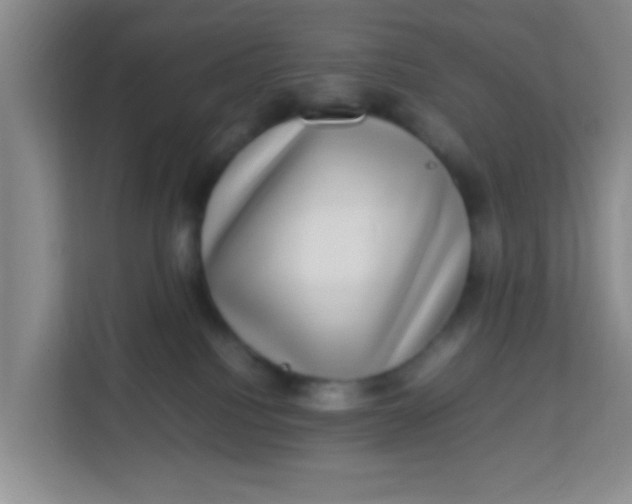 X0000113640088200910091545