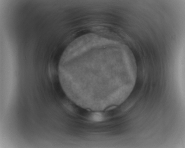 X0000113640091200910091545