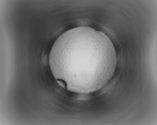 X0000113640093200910091545