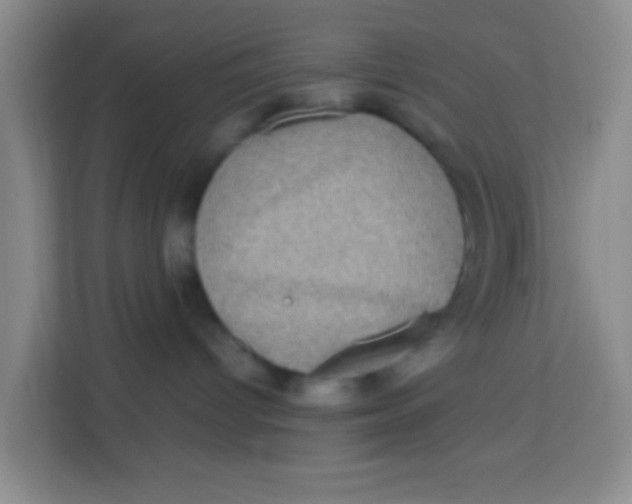 X0000113640096200910091545