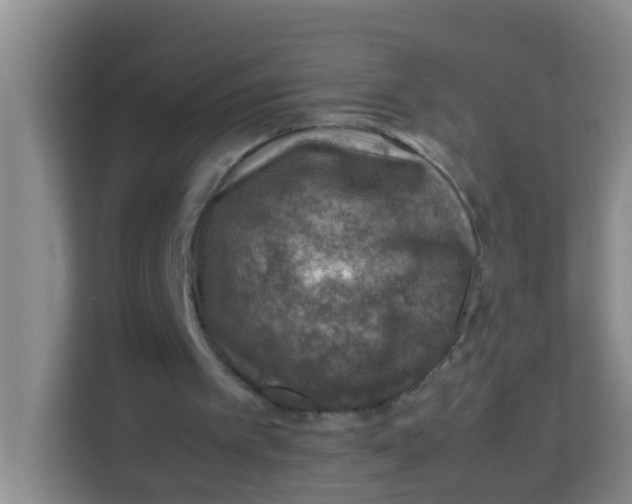 X0000113640097200910091545