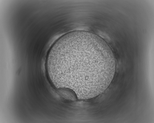 X0000113640098200910091545