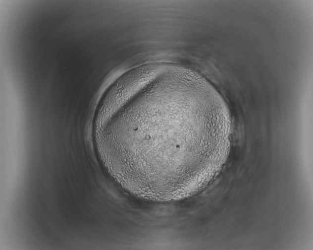 X0000113640099200910091545