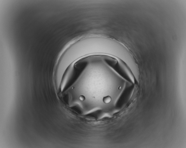 X0000113640100200910091545