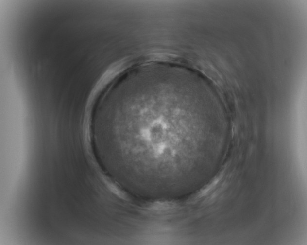 X0000113640101200910091545