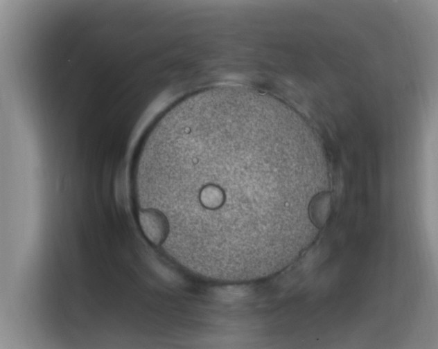 X0000113640102200910091545