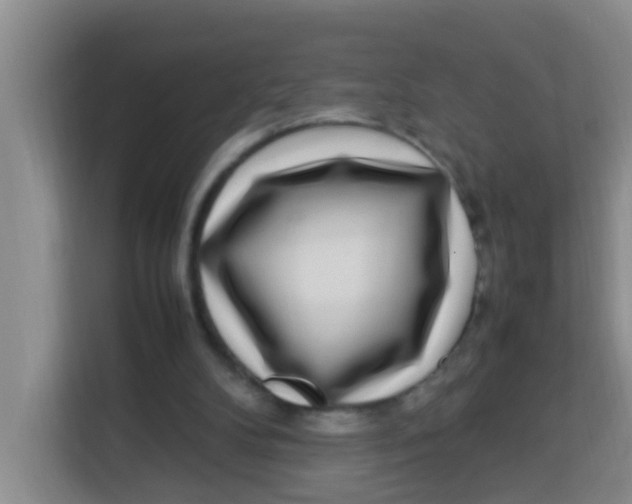 X0000113640104200910091545