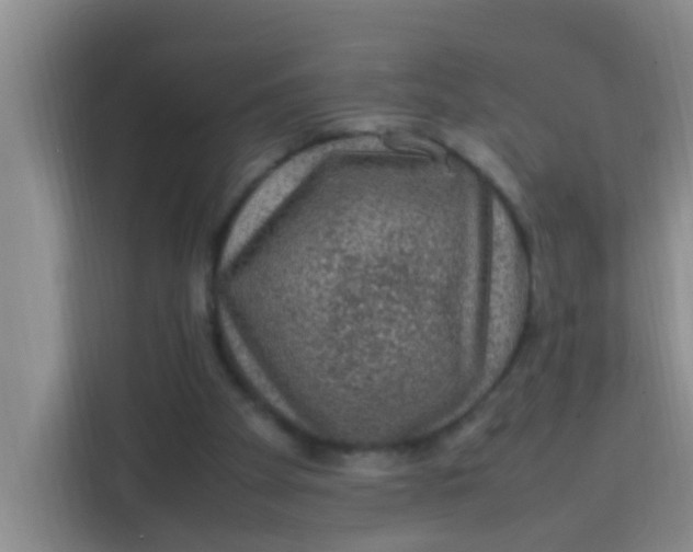 X0000113640105200910091545