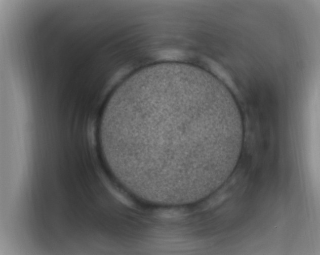 X0000113640106200910091544