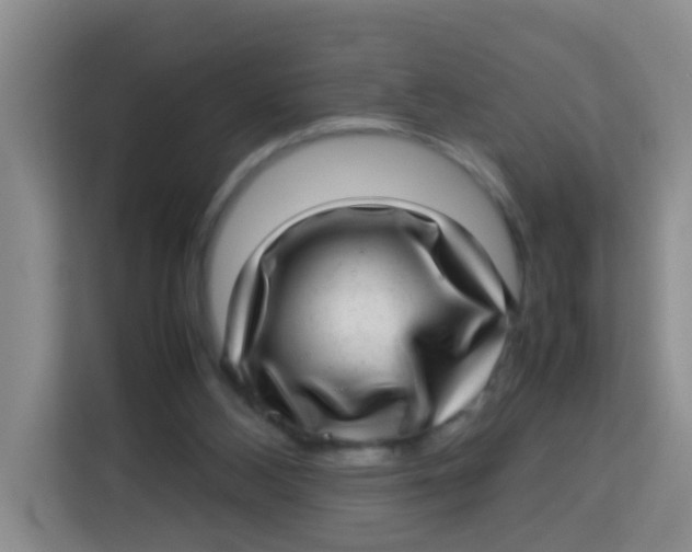 X0000113640108200910091544