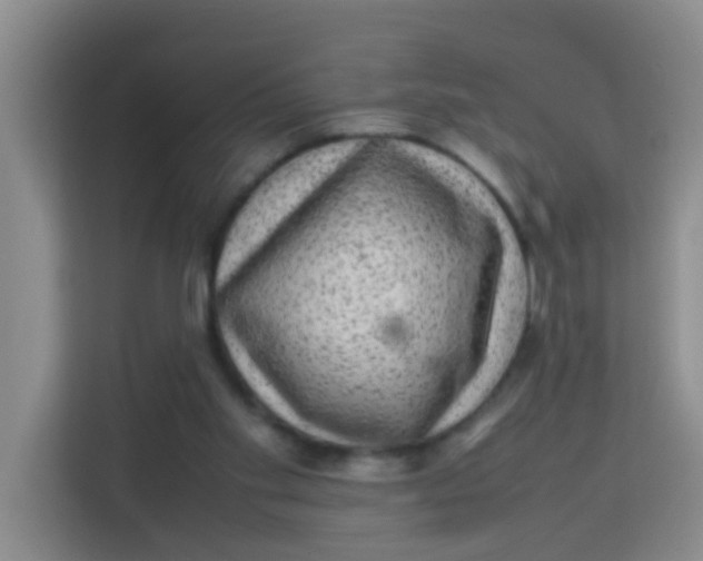 X0000113640109200910091544