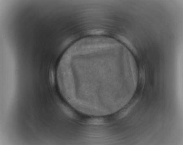 X0000113640110200910091544