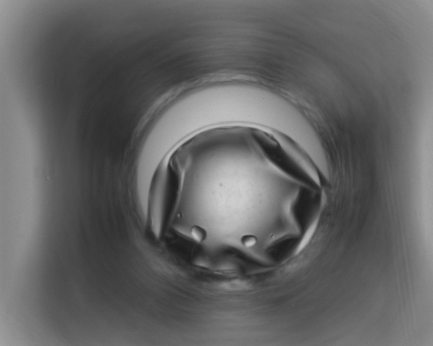 X0000113640112200910091544