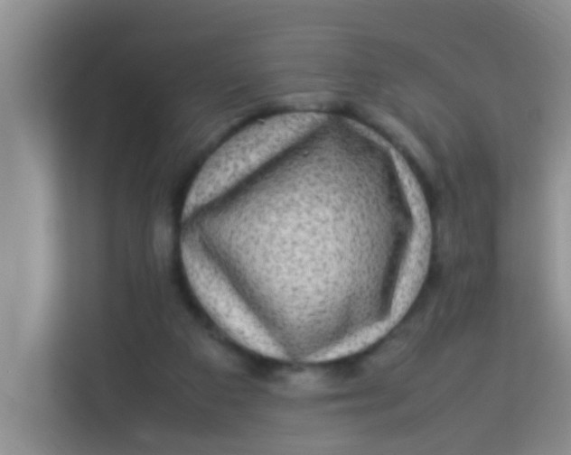 X0000113640113200910091544