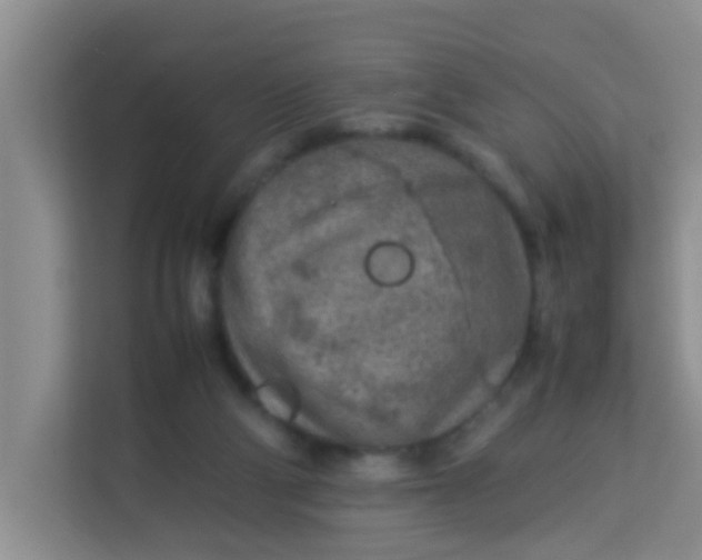 X0000113640114200910091544